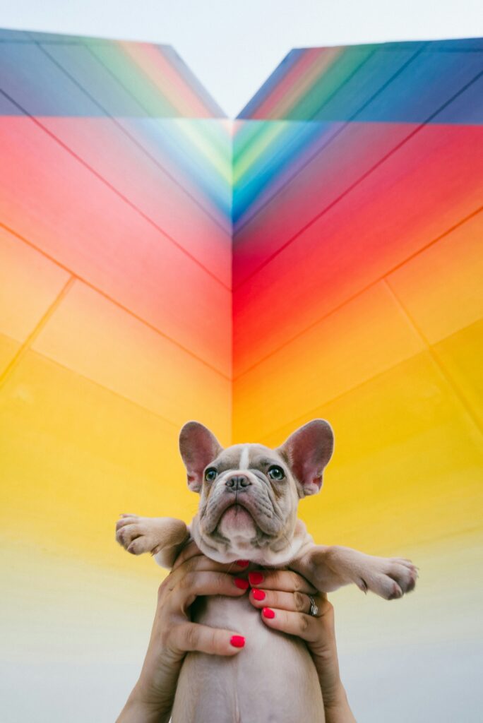 karsten-winegeart-G6stK98sFSs-unsplash