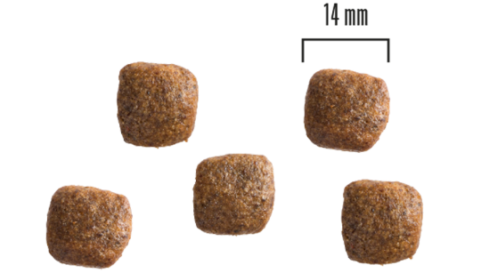 PrimaDog Teraviljata täistoit lõhe-kartuli kõikidele täiskasvanud koertele 10kg - Kuva 2