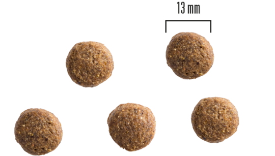 PrimaDog täistoit kana-kartuli kõikidele täiskasvanud koertele 10kg - Kuva 2