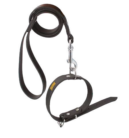 HILTON nahast jalutusrihm koerale, erinevad - Kuva 2