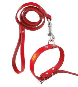 HILTON nahast jalutusrihm koerale, erinevad