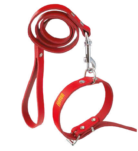 HILTON nahast jalutusrihm koerale, erinevad