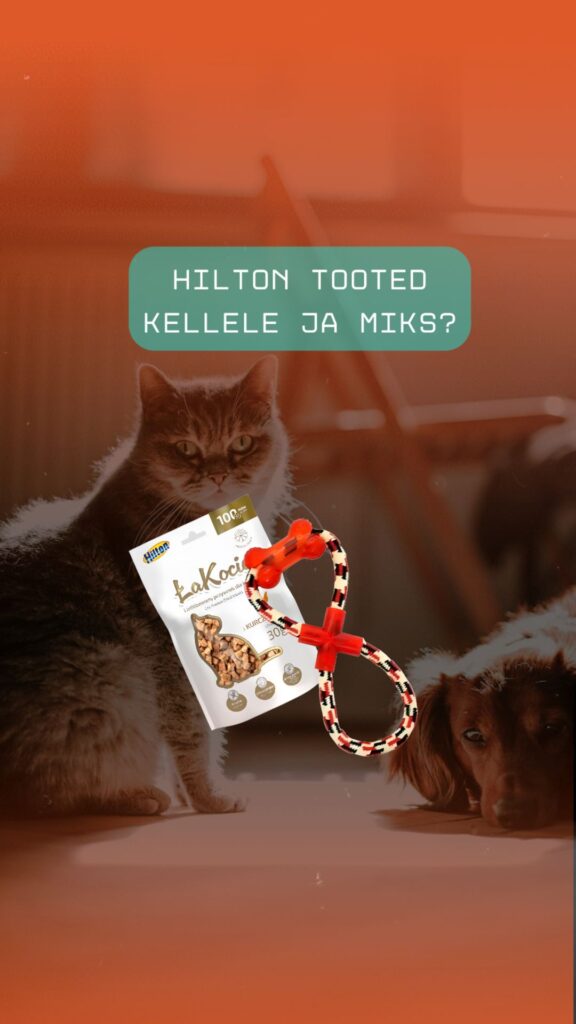 WhatsApp Image 2025-12-17 at 09.49.24