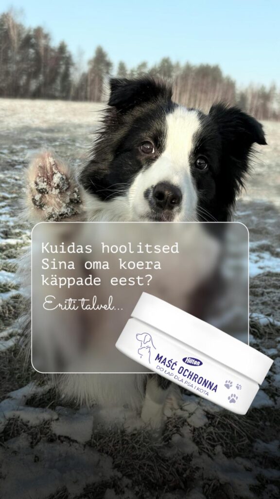 WhatsApp Image 2026-01-04 at 12.13.25