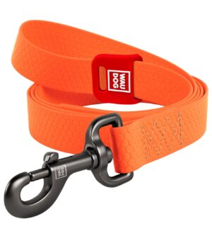 Veekindel koera jalutusrihm. Rihma pikkus 305cm