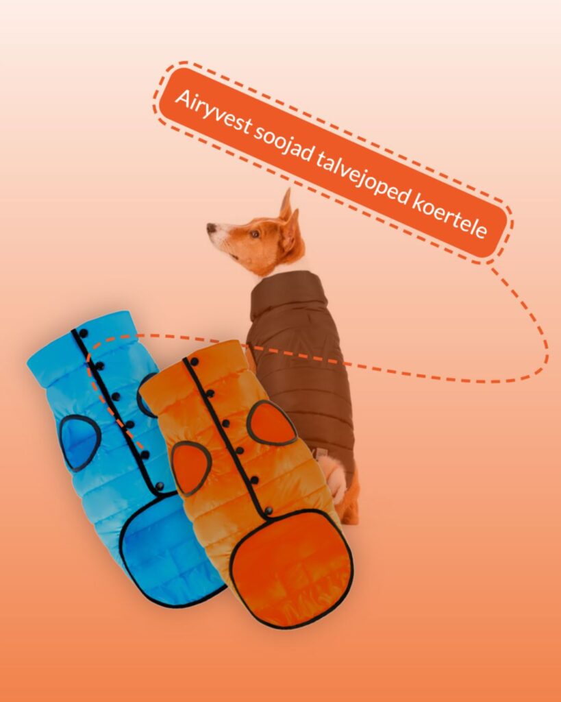 WhatsApp Image 2026-03-01 at 14.28.31